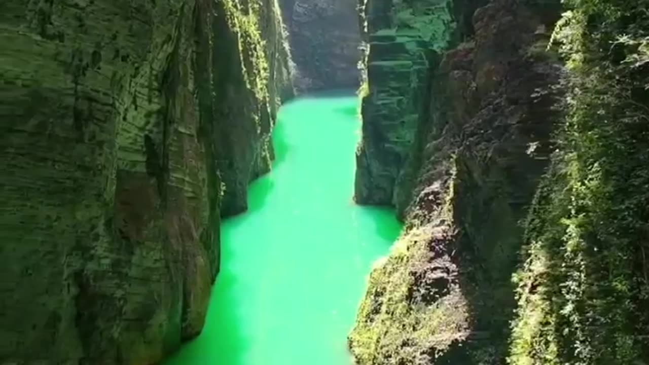 vídeos aleatórios assiste e seja bem vindo