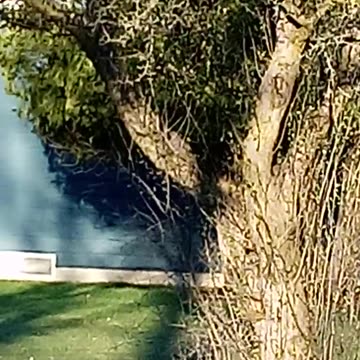 WILD TURKEY VIDEO 2 NCSWIC