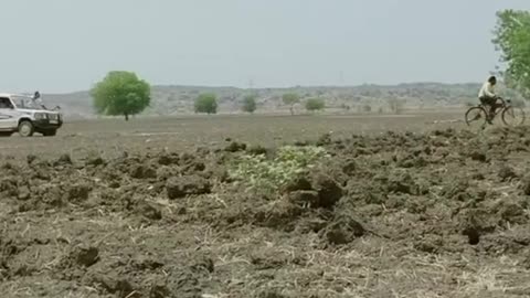 Funny India Video