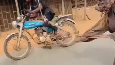 Normal day in africa