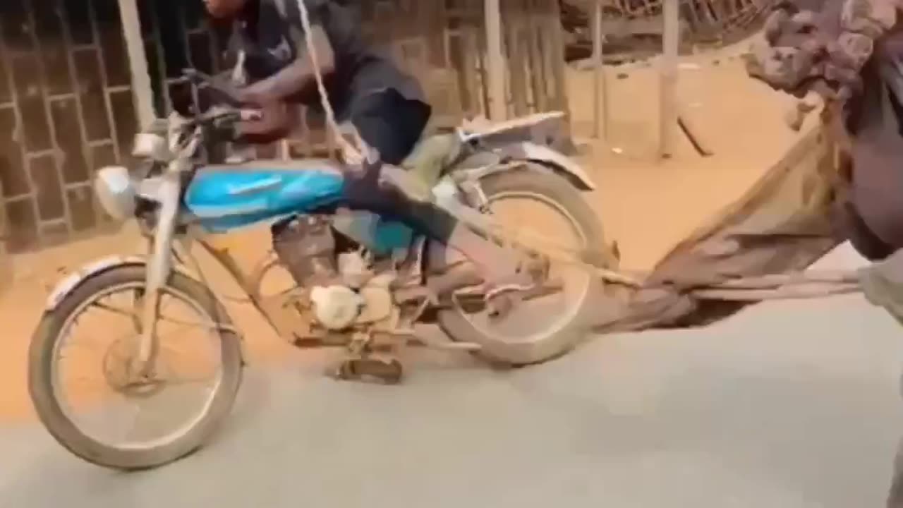 Normal day in africa