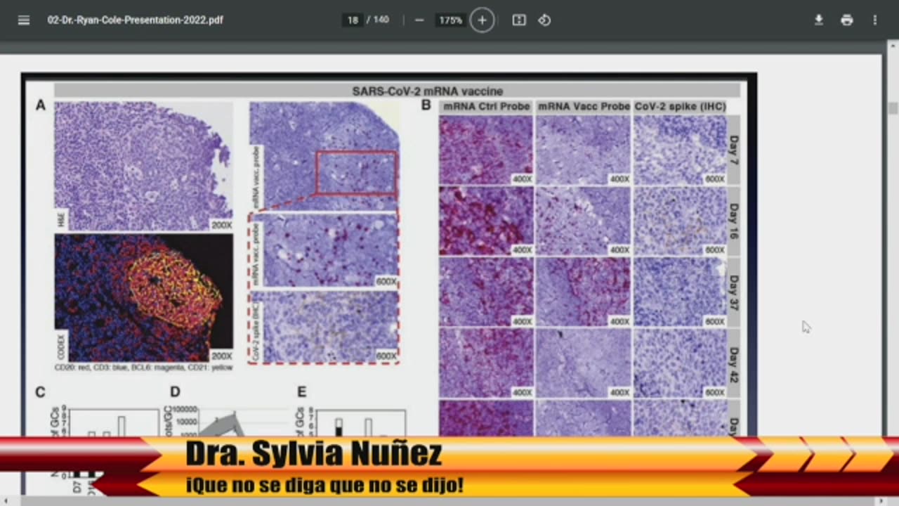 Doctora Nuñez en Segmento PR
