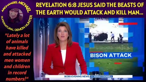 Revelation chapter 6 verse 8, just as Jesus predicted