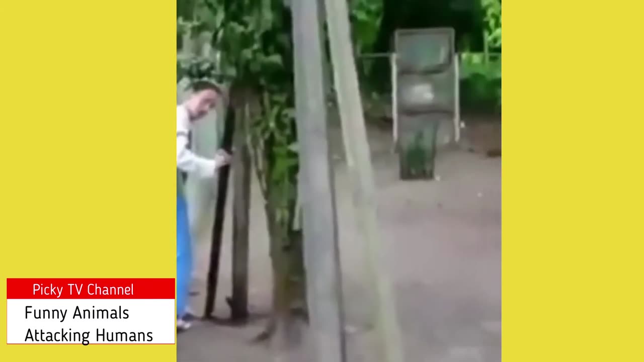 Funny animal video comedy video 2023 #comedy #funny #trandingvideo