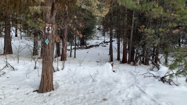 Ochoco Way Loop Trail Junction – Bandit Springs Sno-Park – Central Oregon – 4K