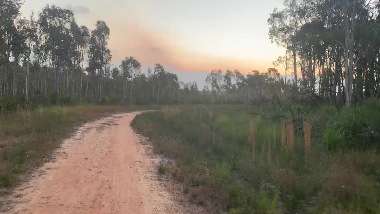 Sunset Bush Tracks