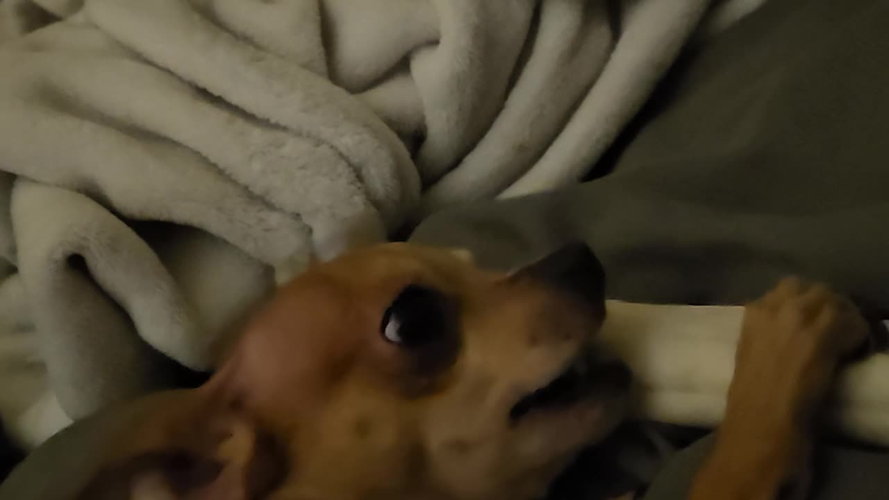 He not playing about that bone