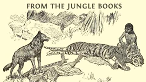 Mowgli_ All of the Mowgli Stories from the Jungle Books by Rudyard KIPLING Part 2_2 _ Audio Book