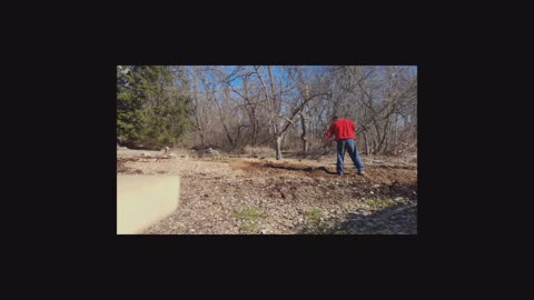 Raking wood chips with a hernia