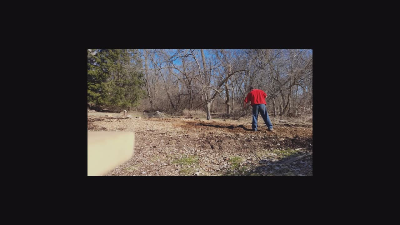 Raking wood chips with a hernia
