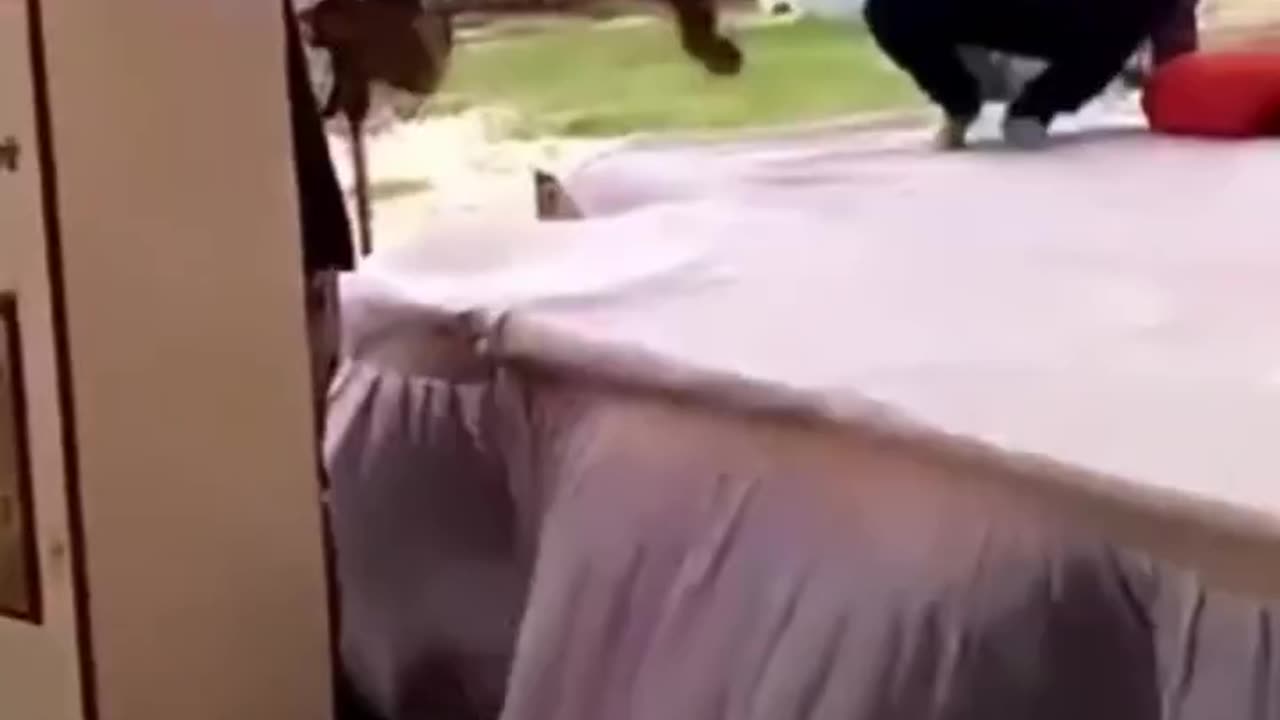 Funny moment