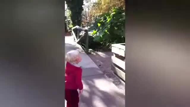 Funniest baby and baby animals