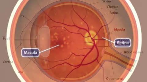 DrBerg-The Connection Between Gallbladder and Eye Health