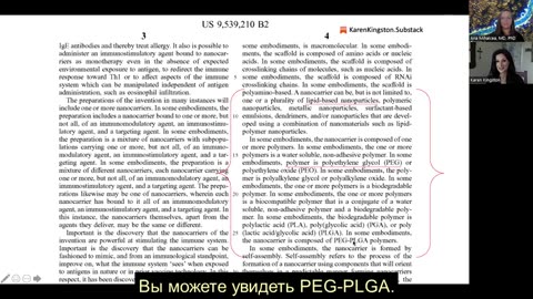 Ана Мария Михалча C19 Биооружие и интерфейс мозг-компьютер Беседа с Карен Кингстон. Эпизод 10