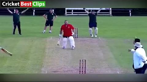 Cricket funny clips