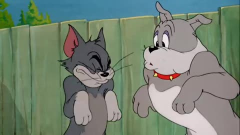 Tom and Jerry new episode