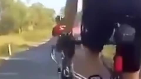 Kangaroo Collides With Cyclist