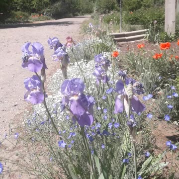 Country street as it is