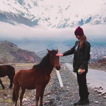 A Woman Petting a Horse