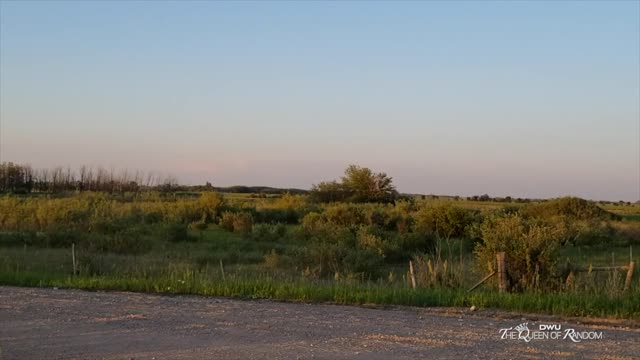 Y2Mate.is - ASMR FARM COWS GRAZING THE LAND-LakC5PmkCDk-1080p-1658603984219