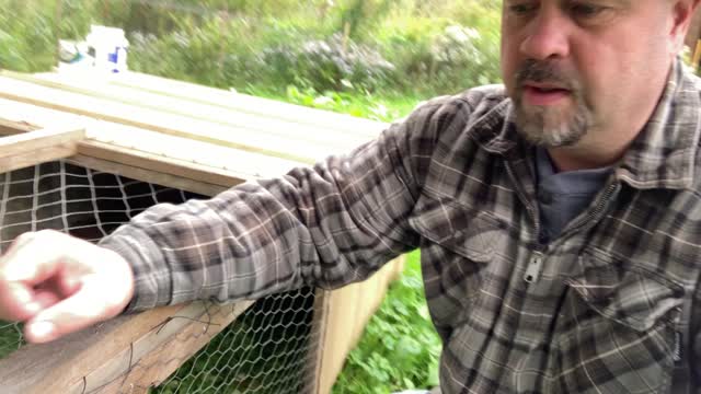 Mobile Chicken Coops - An Update - What Worked and What Didn't