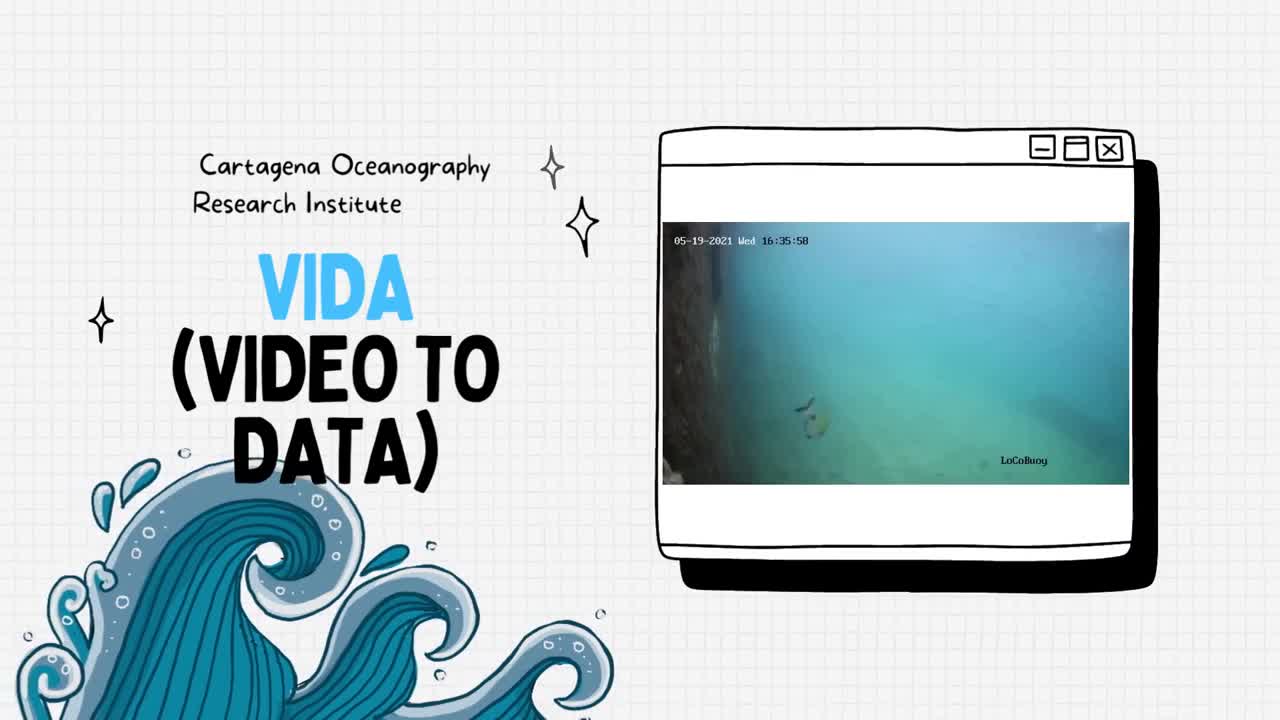 Proyecto ViDa (Video to Data)