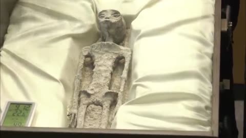 Did NASA Find Evidence of Extraterrestrial Life?