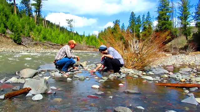 Lamar Valley Safari Hike with Yellowstone Hiking Guides