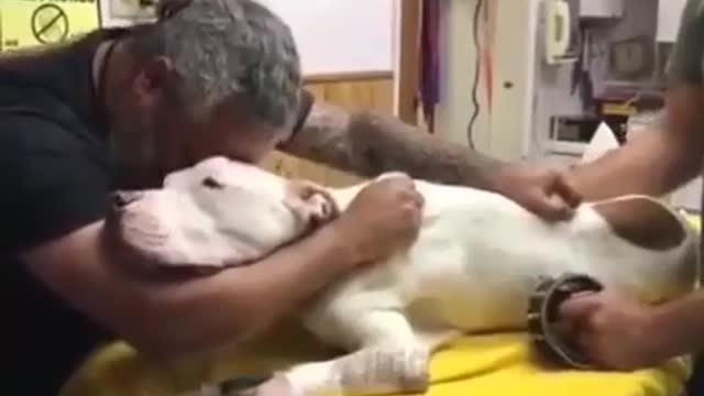 This grandpa was very sad because it happened to his beloved dog