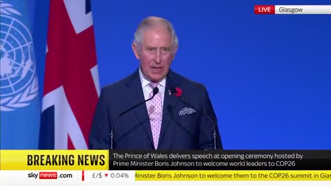 Prince Charles claims a vast military-style campaign