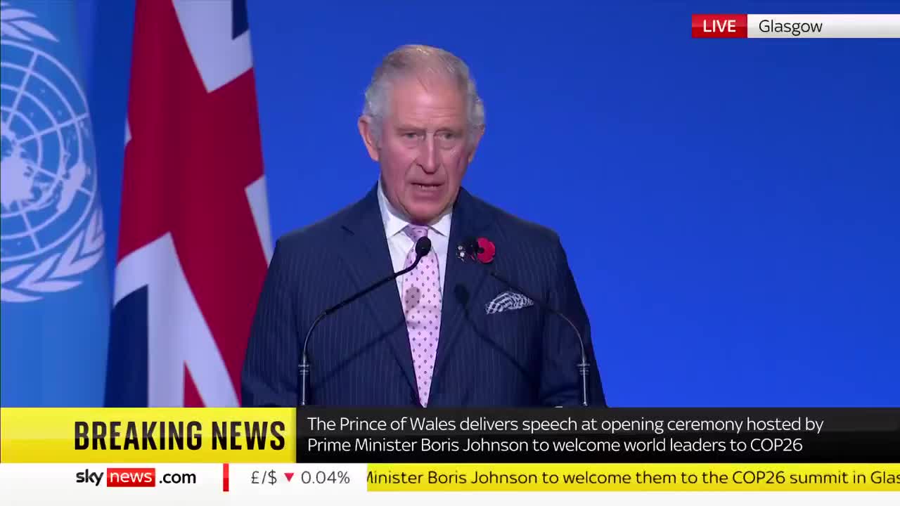 Prince Charles claims a vast military-style campaign
