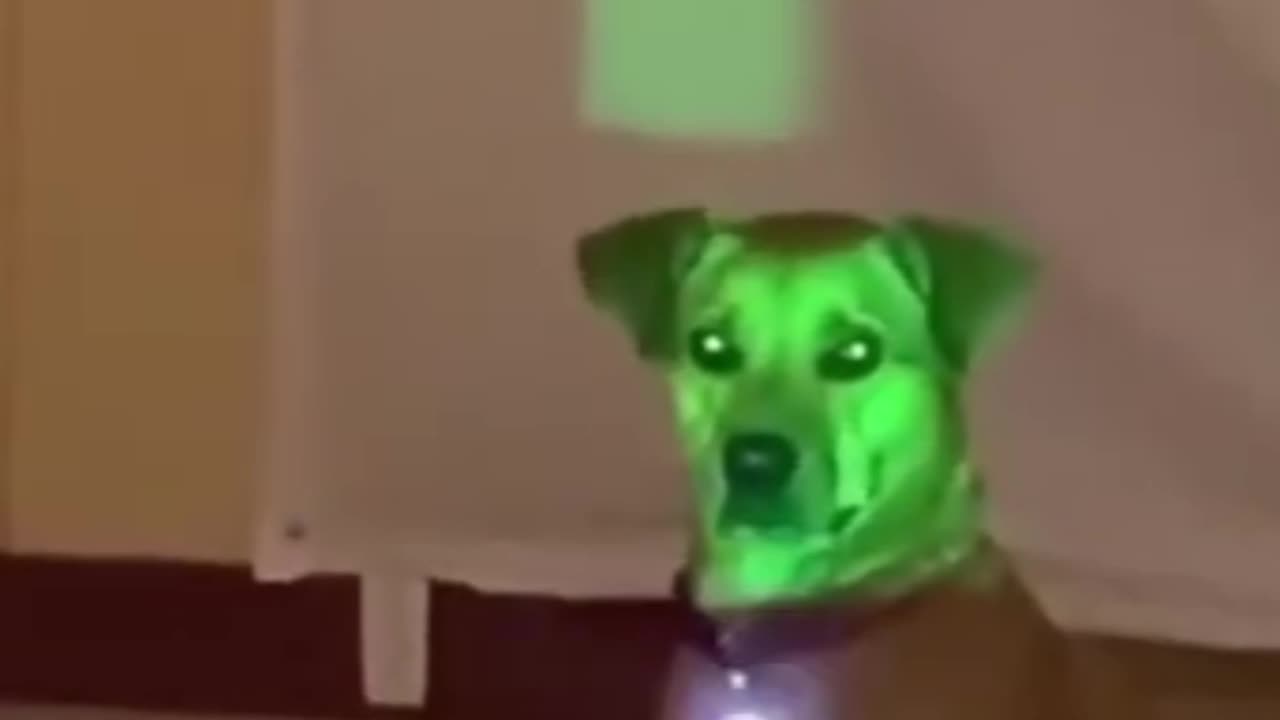 Try not to laugh 😂