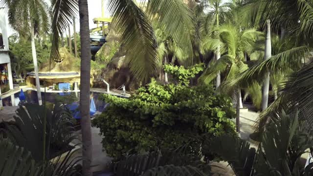 Pain free pelvis - masterclass review: Holy & Rebeca