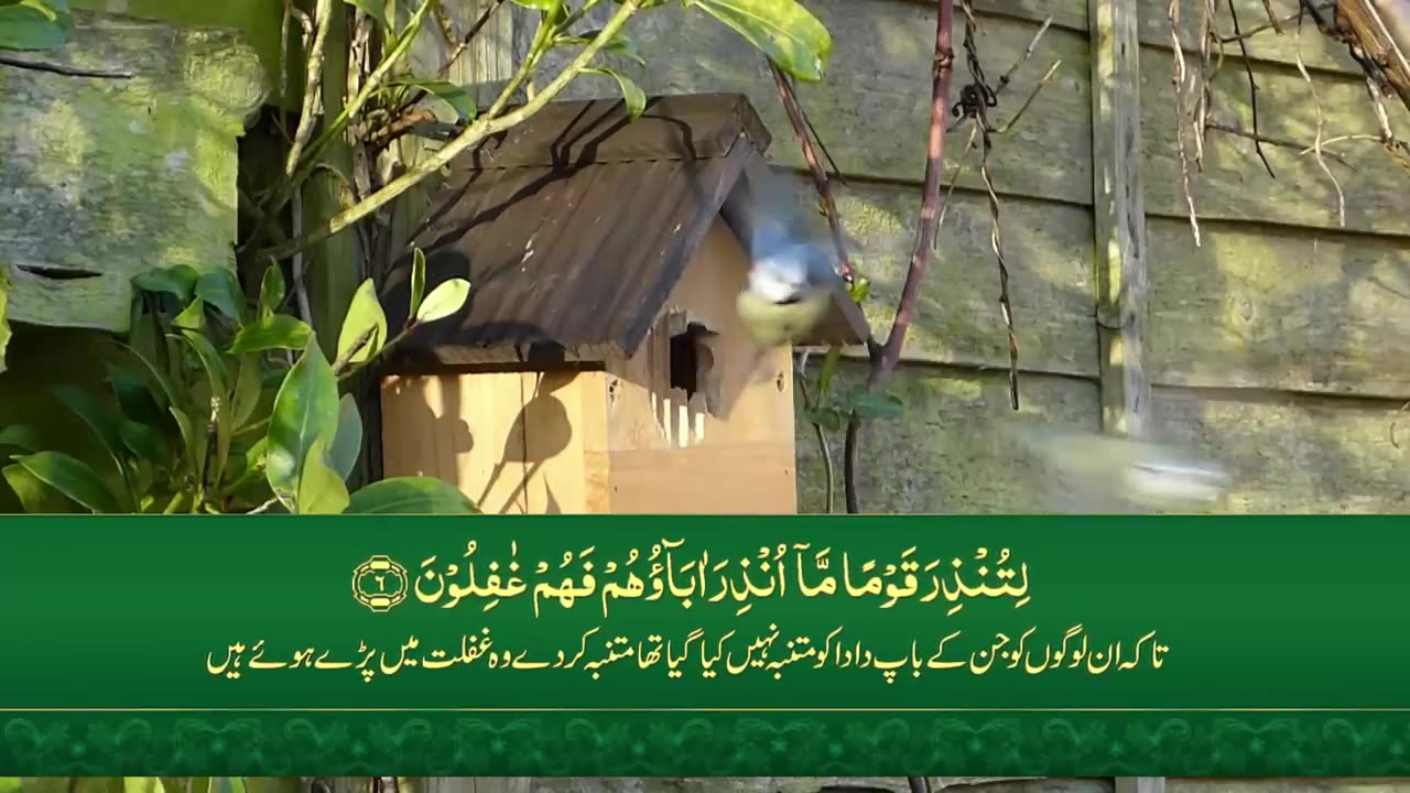 Surah Yasin ( Yaseen ) with Urdu Translation | Quran Tilawat Beautiful Voice | Hindi Tarjuma