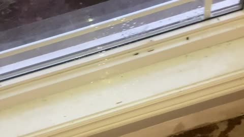 LEAK IN LIVING ROOM WINDOW