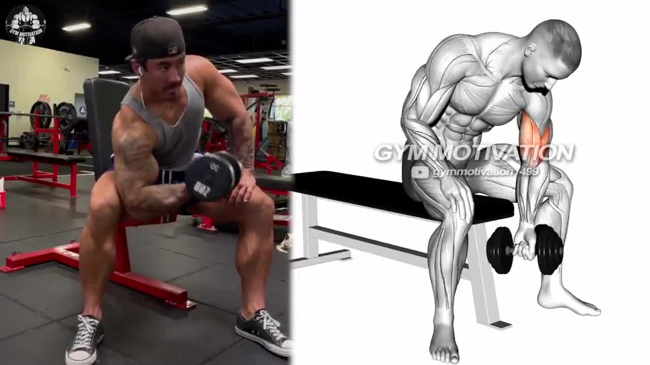 5 exercises to build biceps muscles