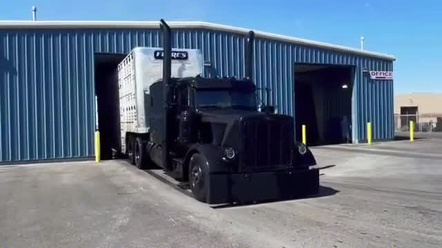 Trailer driver with penetrating smell with strong lethality from the first perspective