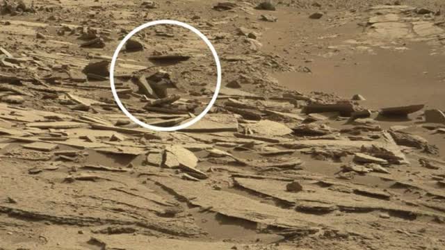 Pictures of Mars, taken from the official NASA website, what do you think?