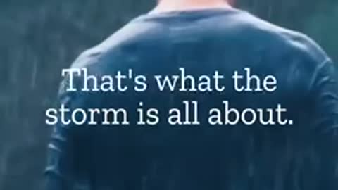 Other side of the storm 🐸☔️