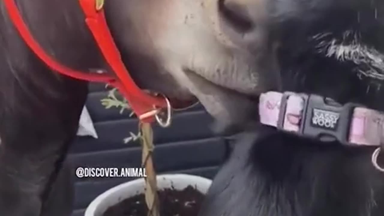 Hhhhhhhhhhhhhaaaaaaaaaaaaaaaa