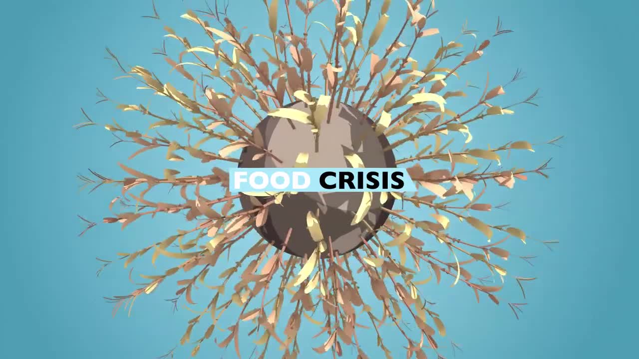 How Data can solve Food Insecurity