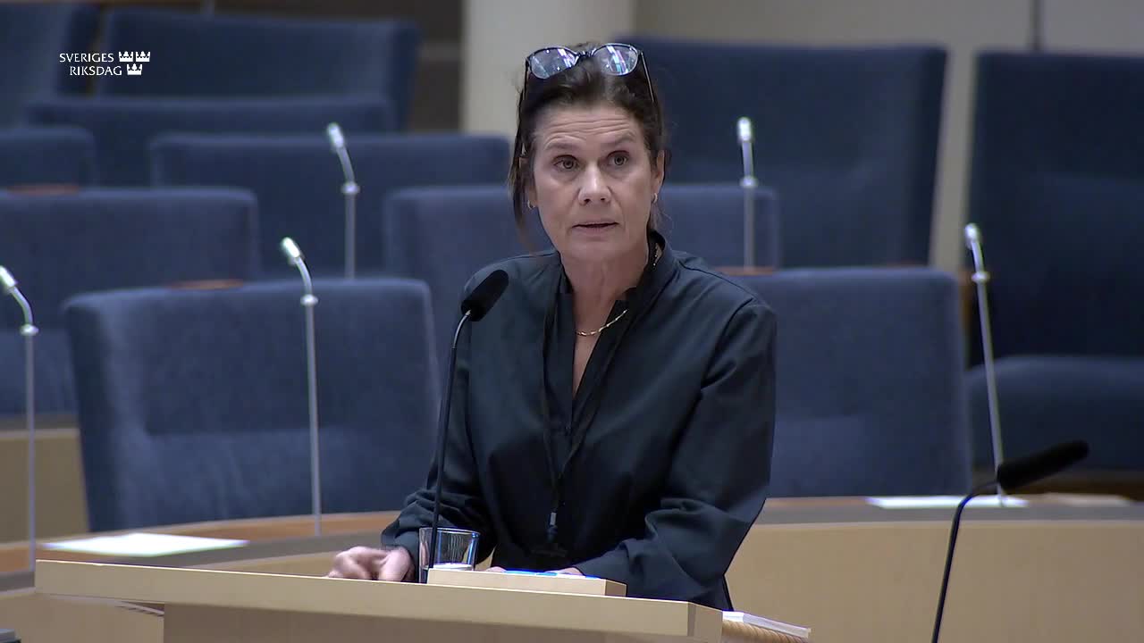 Elsa Widding (SD) vs den gråtskrikande-socialist-tomten Markus Selin (S)