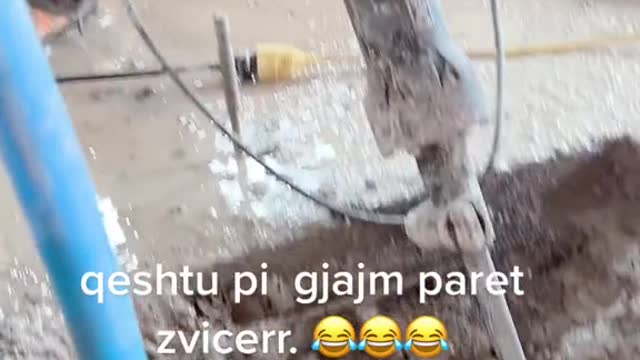 qeshtu pi gjajm paret zvicerr.