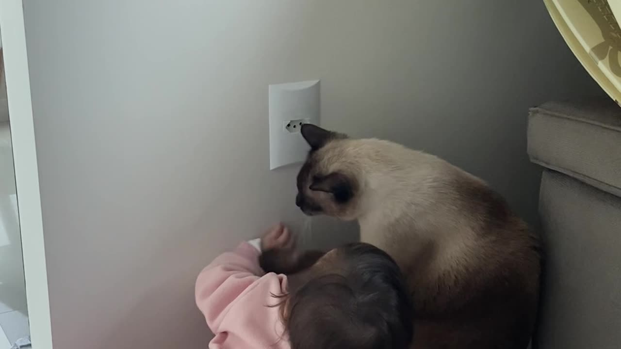 Oliver Protects Ayla From Outlet