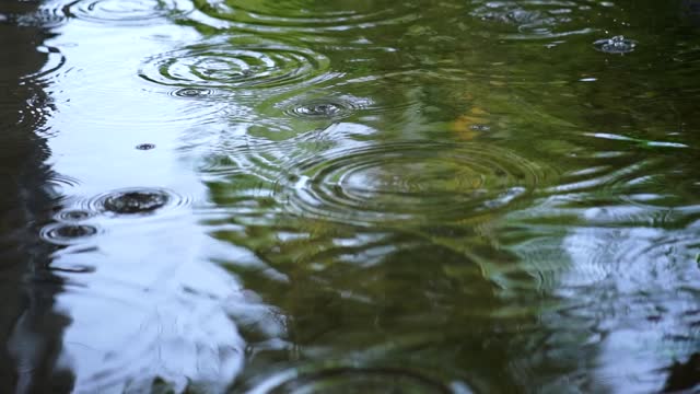 .Rain falling on the water of a lake seen up close .