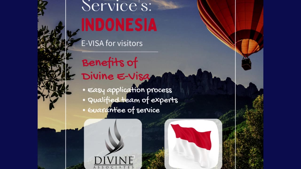 Divine Associates Ltd Expert E-Visa Services