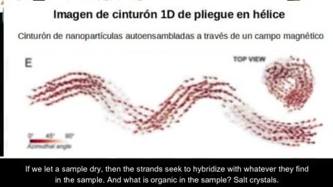 Bio Nano Red Corporal hibridacion humana molecular, vacunas