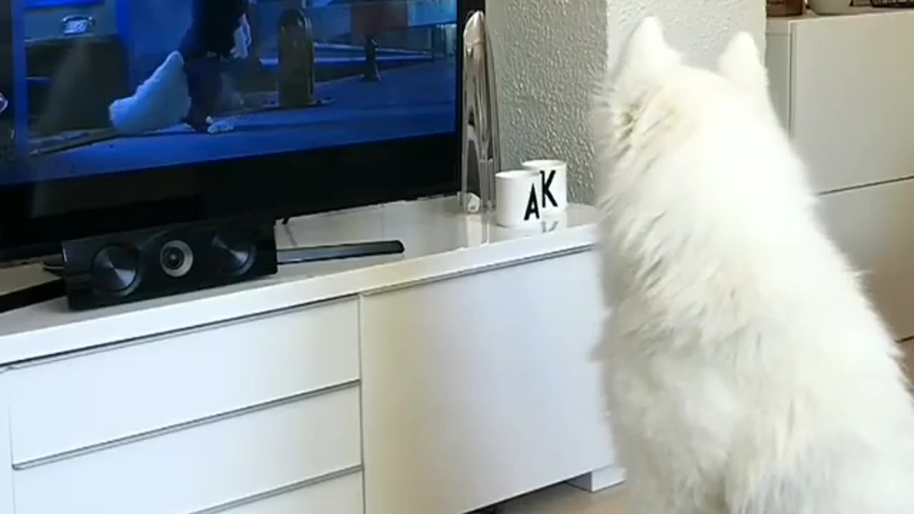 When_you_really_like