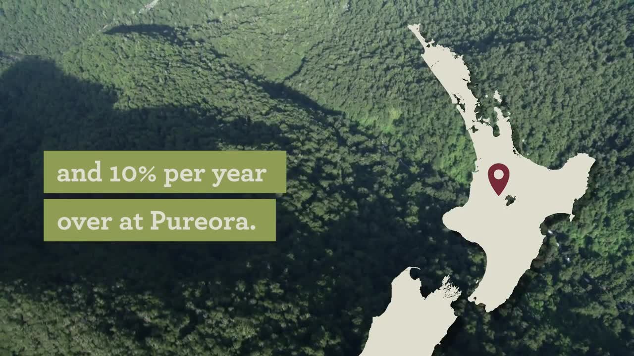Great news for pekapeka! _ New Zealand nature news