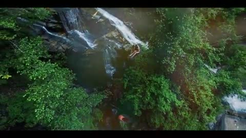 Forest and hot girls